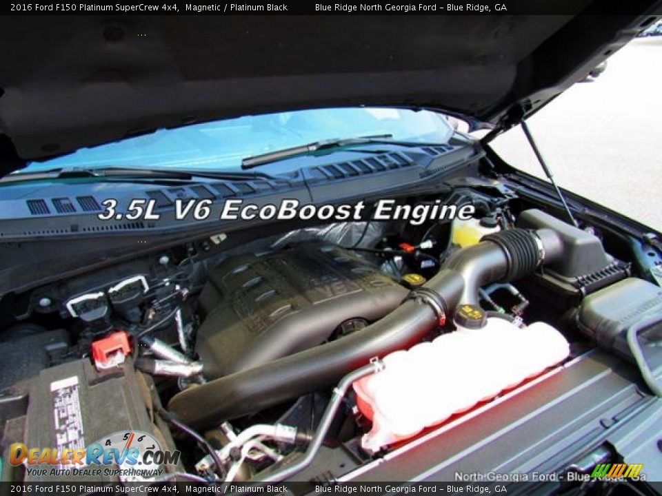 2016 Ford F150 Platinum SuperCrew 4x4 Magnetic / Platinum Black Photo #10