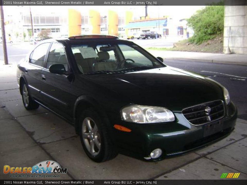2001 Nissan Maxima GLE Sherwood Green Metallic / Blond Photo #8