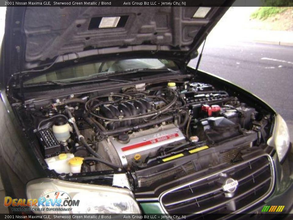 2001 Nissan Maxima GLE Sherwood Green Metallic / Blond Photo #12