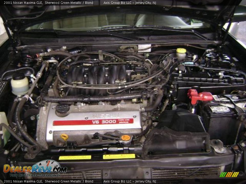 2001 Nissan Maxima GLE Sherwood Green Metallic / Blond Photo #13