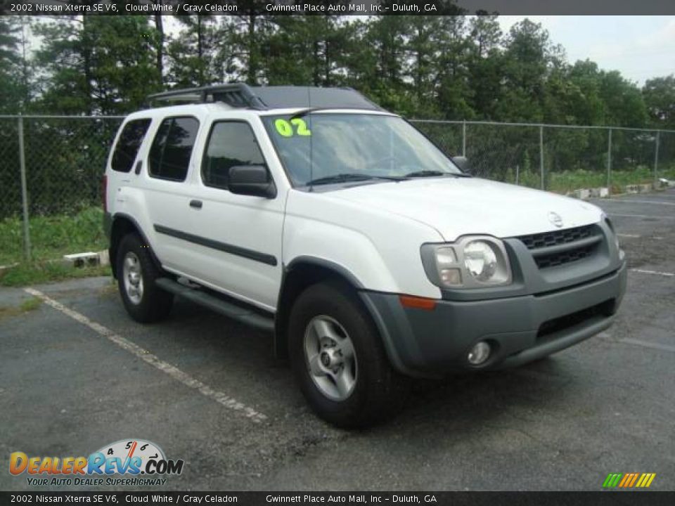 2002 White nissan xterra #1