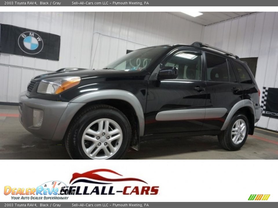 2003 Toyota RAV4 Black / Gray Photo #1