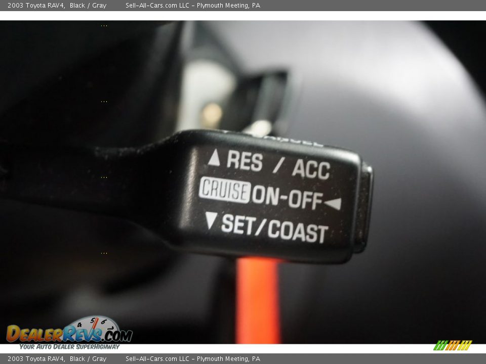 2003 Toyota RAV4 Black / Gray Photo #29