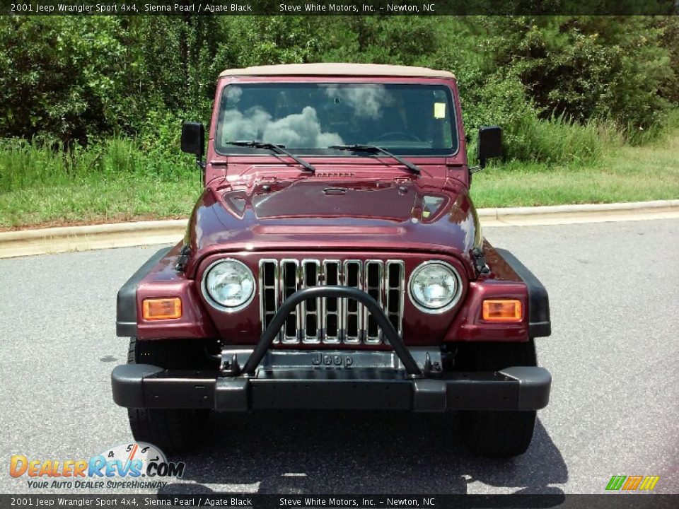 2001 Jeep Wrangler Sport 4x4 Sienna Pearl / Agate Black Photo #3