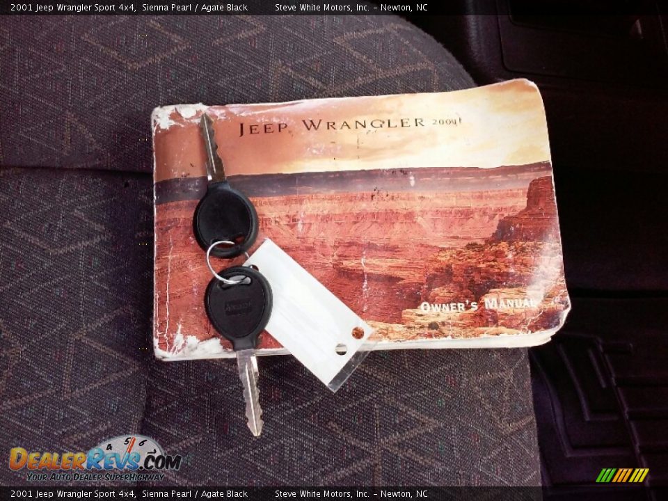 2001 Jeep Wrangler Sport 4x4 Sienna Pearl / Agate Black Photo #17