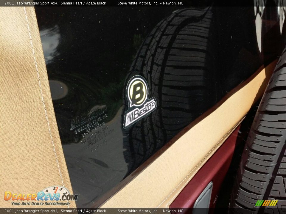 2001 Jeep Wrangler Sport 4x4 Sienna Pearl / Agate Black Photo #18