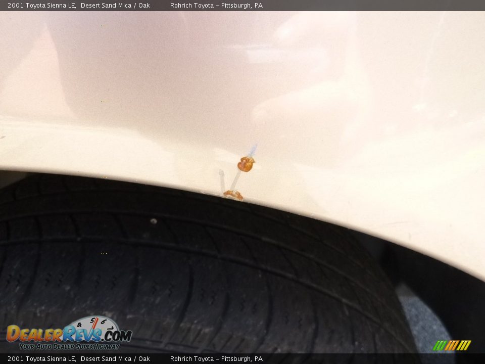 2001 Toyota Sienna LE Desert Sand Mica / Oak Photo #4