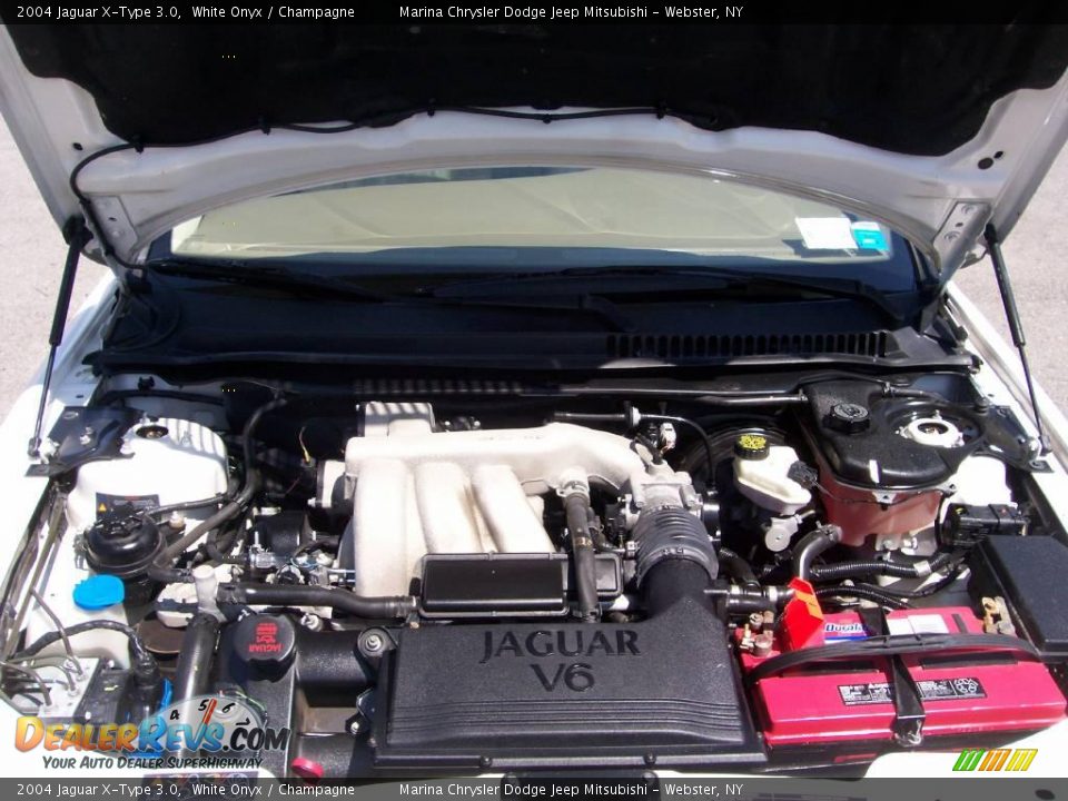 2004 Jaguar X-Type 3.0 White Onyx / Champagne Photo #15
