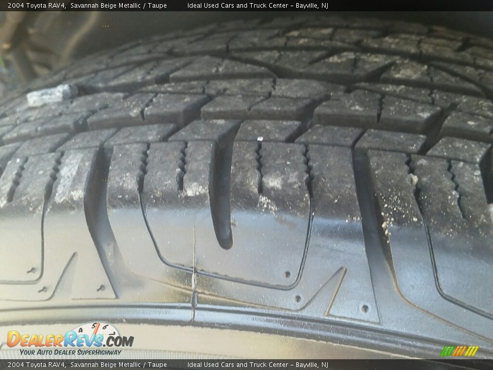 2004 Toyota RAV4 Savannah Beige Metallic / Taupe Photo #29
