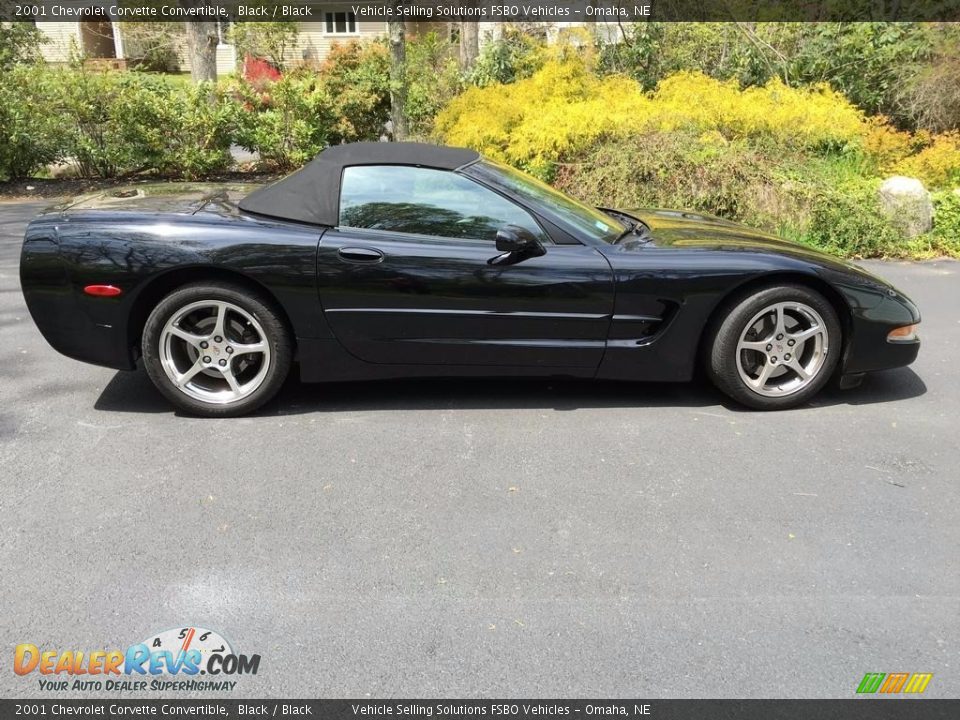 2001 Chevrolet Corvette Convertible Black / Black Photo #5