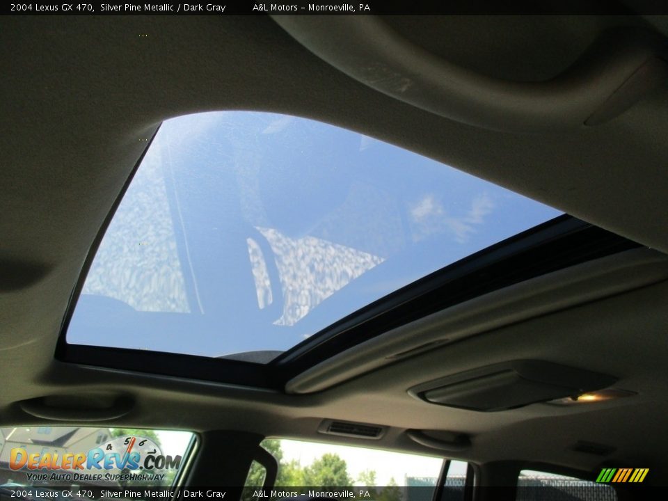 2004 Lexus GX 470 Silver Pine Metallic / Dark Gray Photo #11