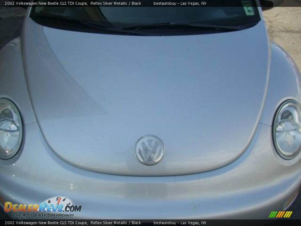 2002 Volkswagen New Beetle GLS TDI Coupe Reflex Silver Metallic / Black Photo #12
