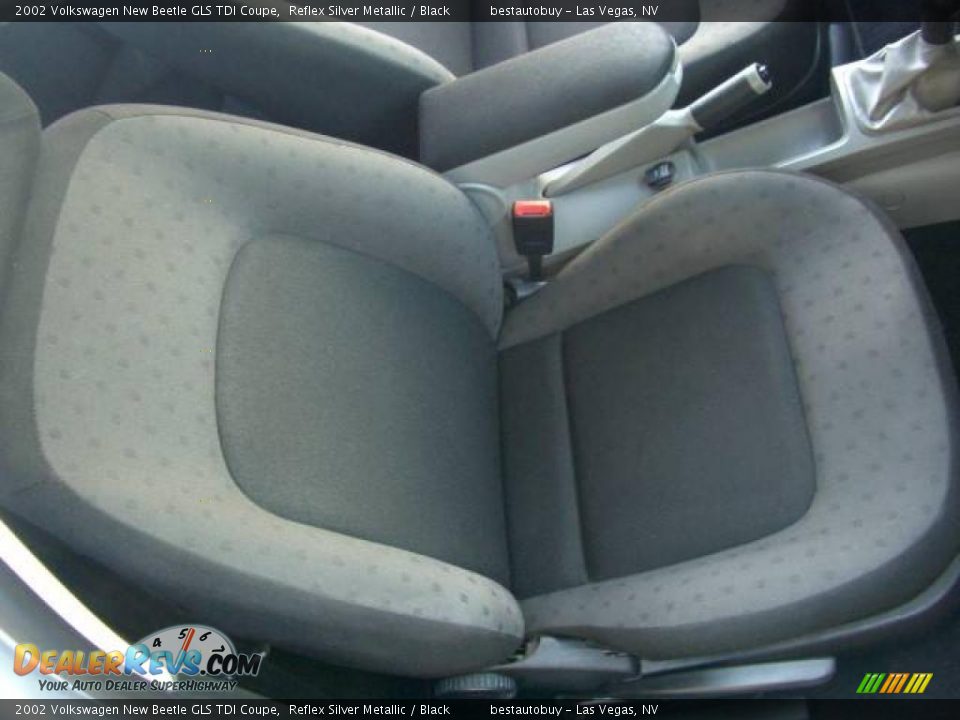 2002 Volkswagen New Beetle GLS TDI Coupe Reflex Silver Metallic / Black Photo #32