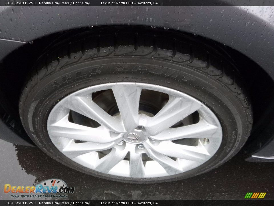 2014 Lexus IS 250 Nebula Gray Pearl / Light Gray Photo #5