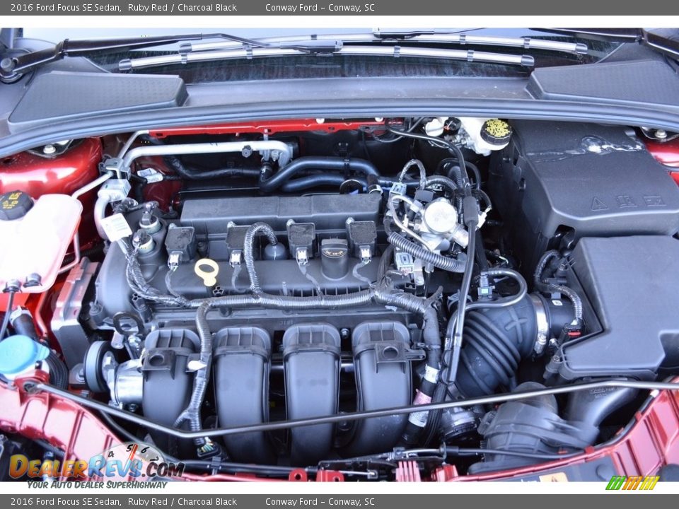 2016 Ford Focus SE Sedan Ruby Red / Charcoal Black Photo #13