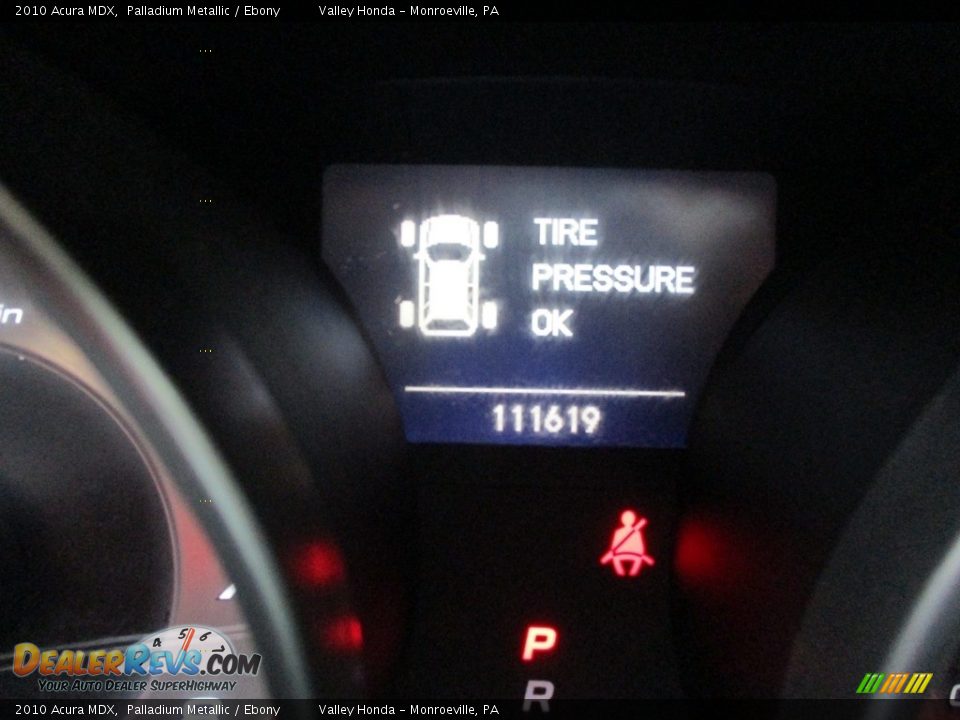2010 Acura MDX Palladium Metallic / Ebony Photo #20