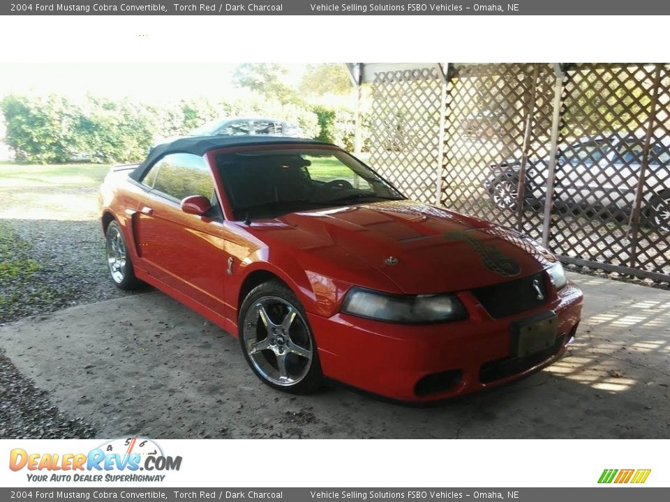 2004 Ford Mustang Cobra Convertible Torch Red / Dark Charcoal Photo #3