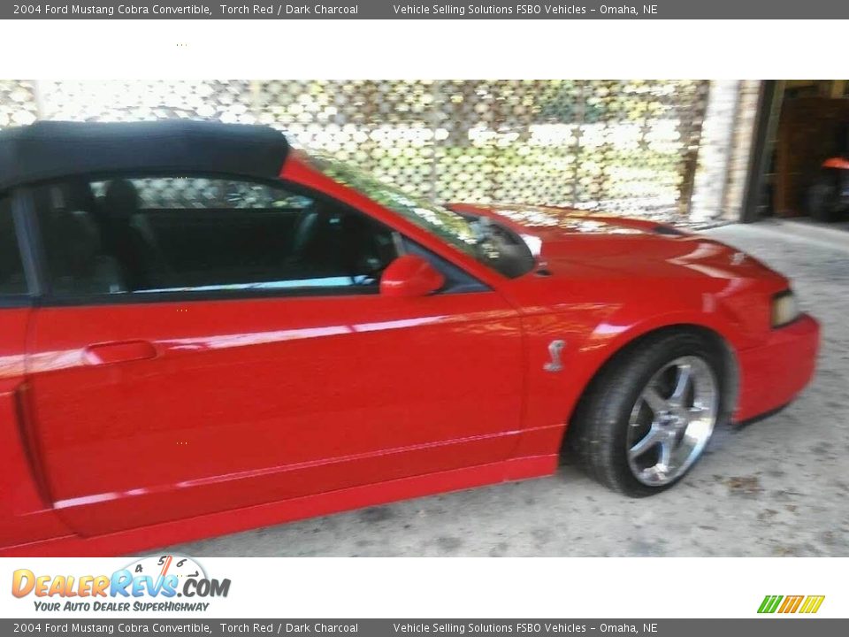 2004 Ford Mustang Cobra Convertible Torch Red / Dark Charcoal Photo #4