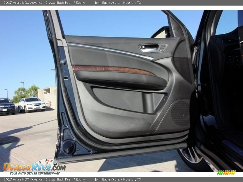 Door Panel of 2017 Acura MDX Advance Photo #15