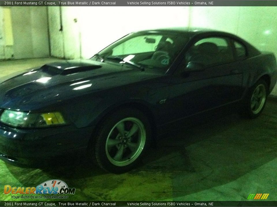 2001 Ford Mustang GT Coupe True Blue Metallic / Dark Charcoal Photo #1