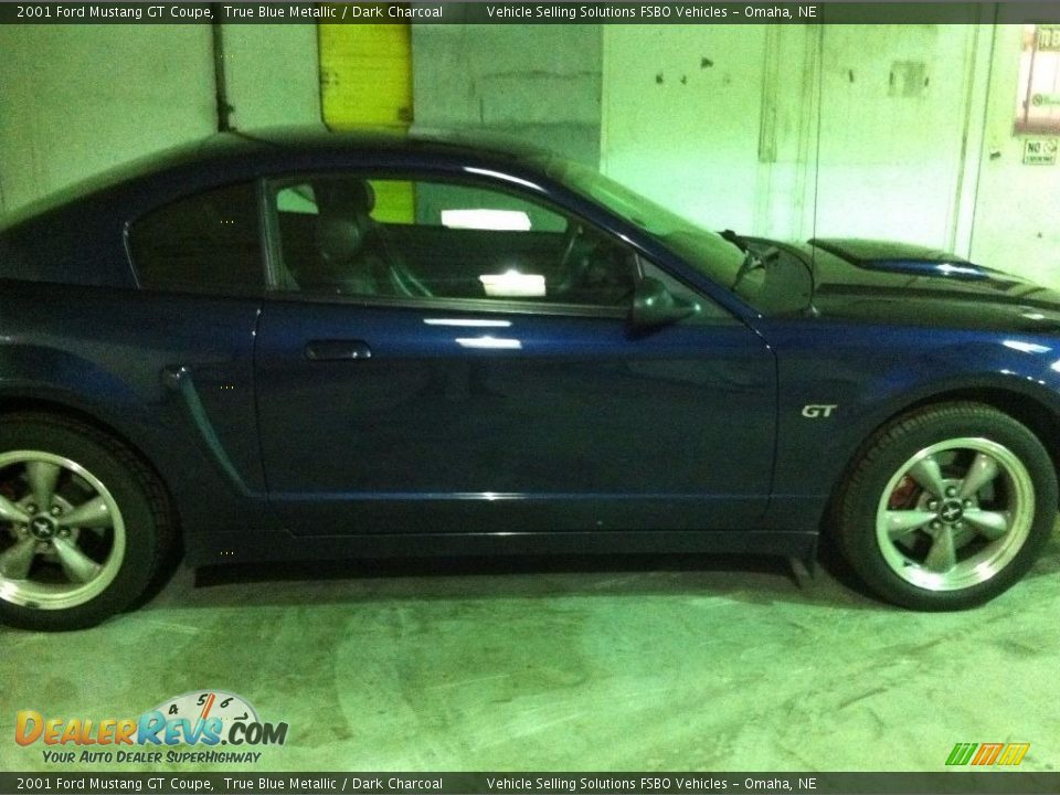 2001 Ford Mustang GT Coupe True Blue Metallic / Dark Charcoal Photo #3