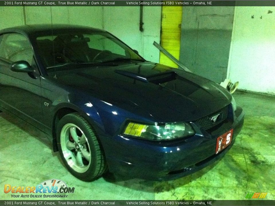 2001 Ford Mustang GT Coupe True Blue Metallic / Dark Charcoal Photo #5