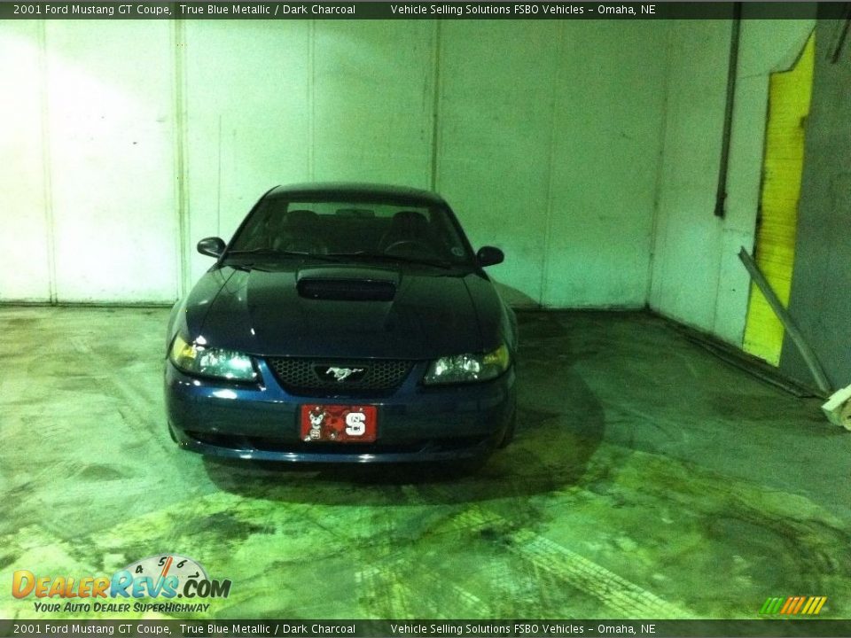 2001 Ford Mustang GT Coupe True Blue Metallic / Dark Charcoal Photo #6