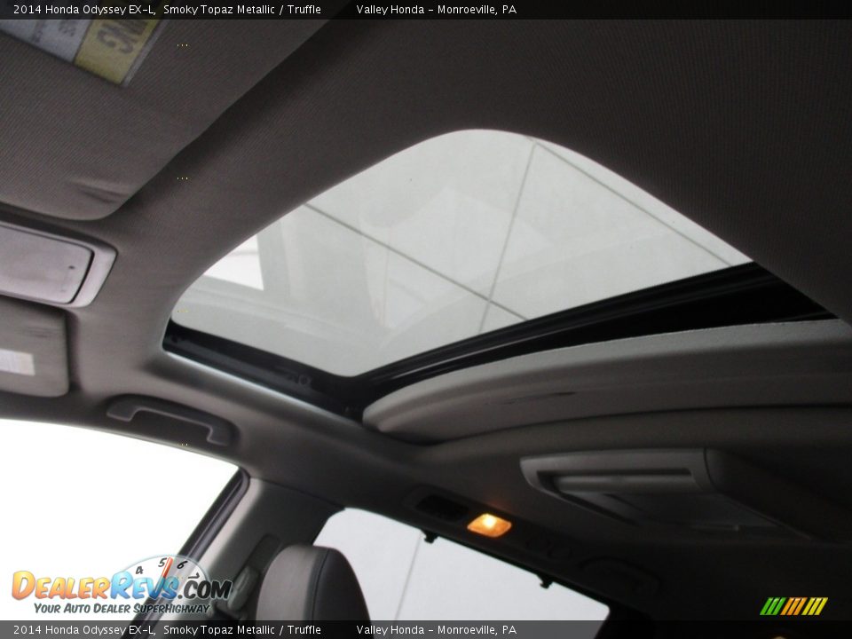 2014 Honda Odyssey EX-L Smoky Topaz Metallic / Truffle Photo #11