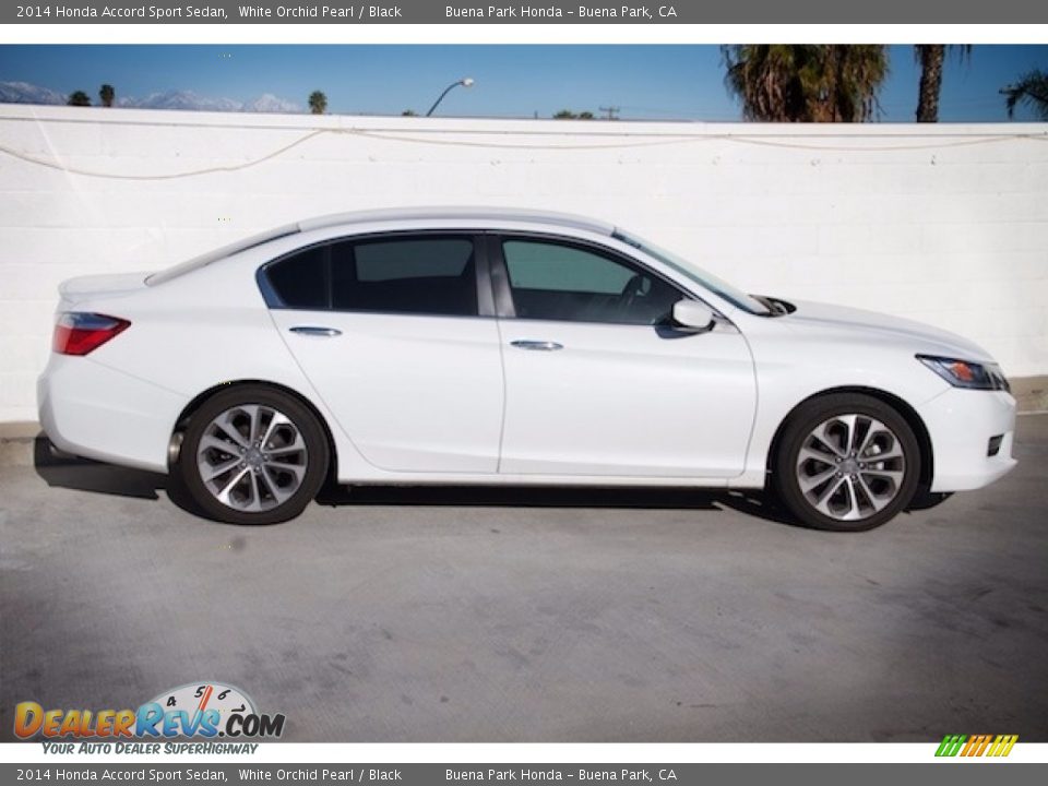 2014 Honda Accord Sport Sedan White Orchid Pearl / Black Photo #8