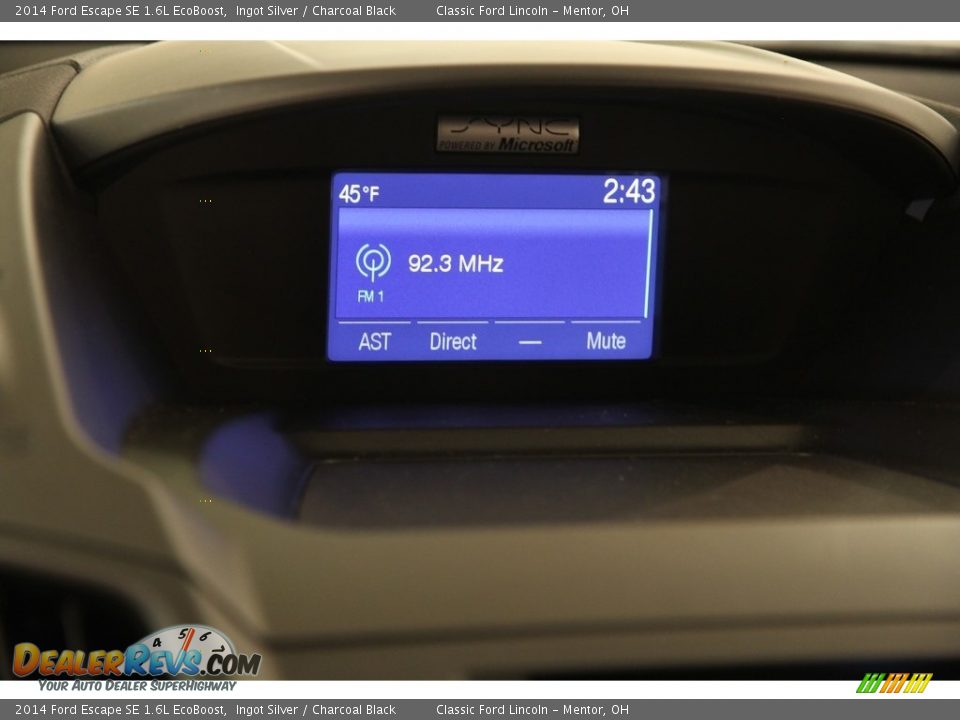 2014 Ford Escape SE 1.6L EcoBoost Ingot Silver / Charcoal Black Photo #9