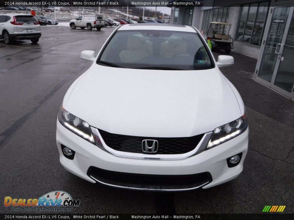 2014 Honda Accord EX-L V6 Coupe White Orchid Pearl / Black Photo #5