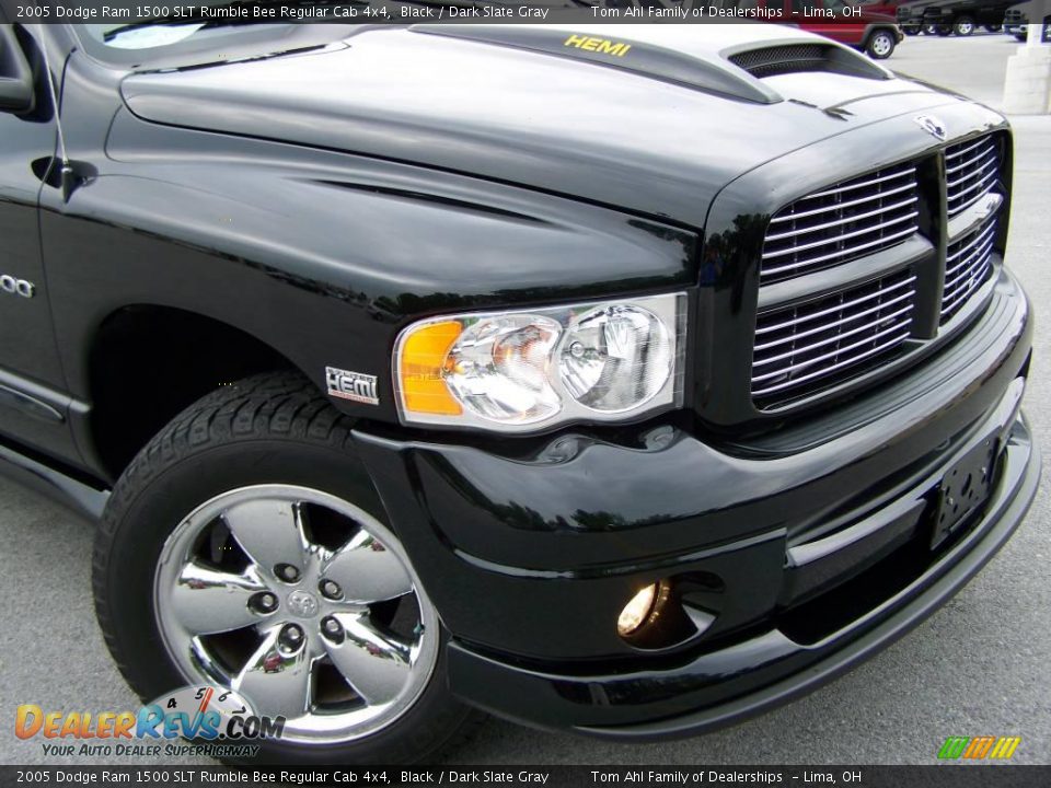 2005 Dodge Ram 1500 SLT Rumble Bee Regular Cab 4x4 Black / Dark Slate Gray Photo #3