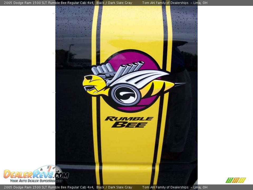 2005 Dodge Ram 1500 SLT Rumble Bee Regular Cab 4x4 Black / Dark Slate Gray Photo #10