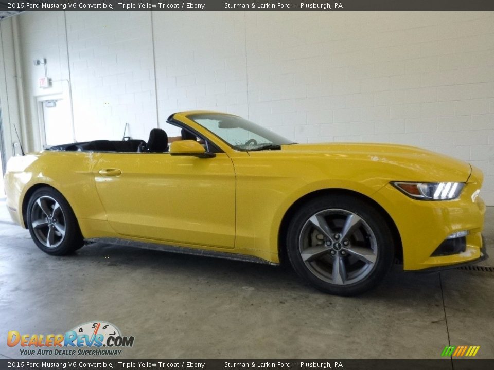 2016 Ford Mustang V6 Convertible Triple Yellow Tricoat / Ebony Photo #1