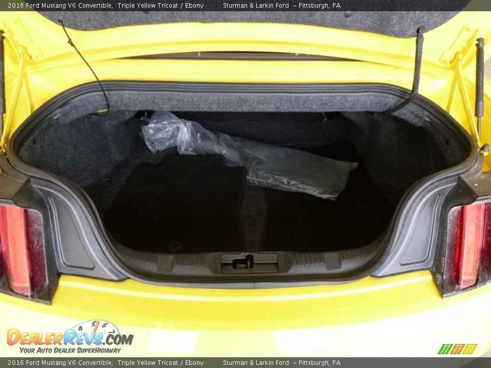 2016 Ford Mustang V6 Convertible Triple Yellow Tricoat / Ebony Photo #11