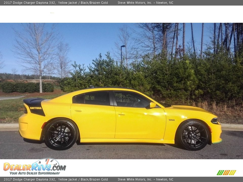 Yellow Jacket 2017 Dodge Charger Daytona 392 Photo #5