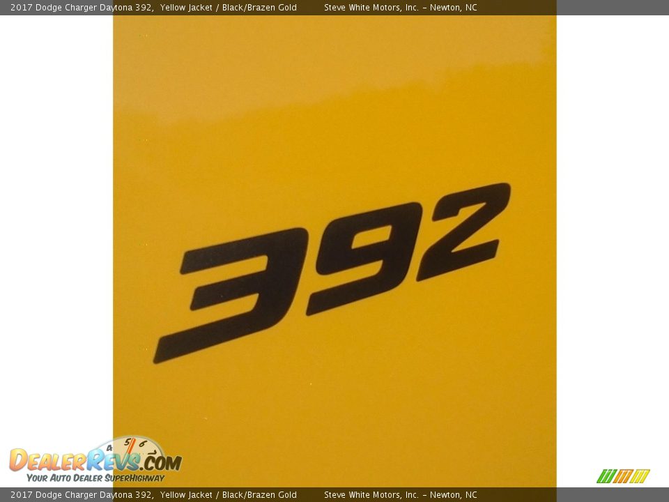 2017 Dodge Charger Daytona 392 Logo Photo #28