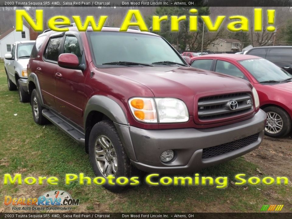 2003 Toyota Sequoia SR5 4WD Salsa Red Pearl / Charcoal Photo #1