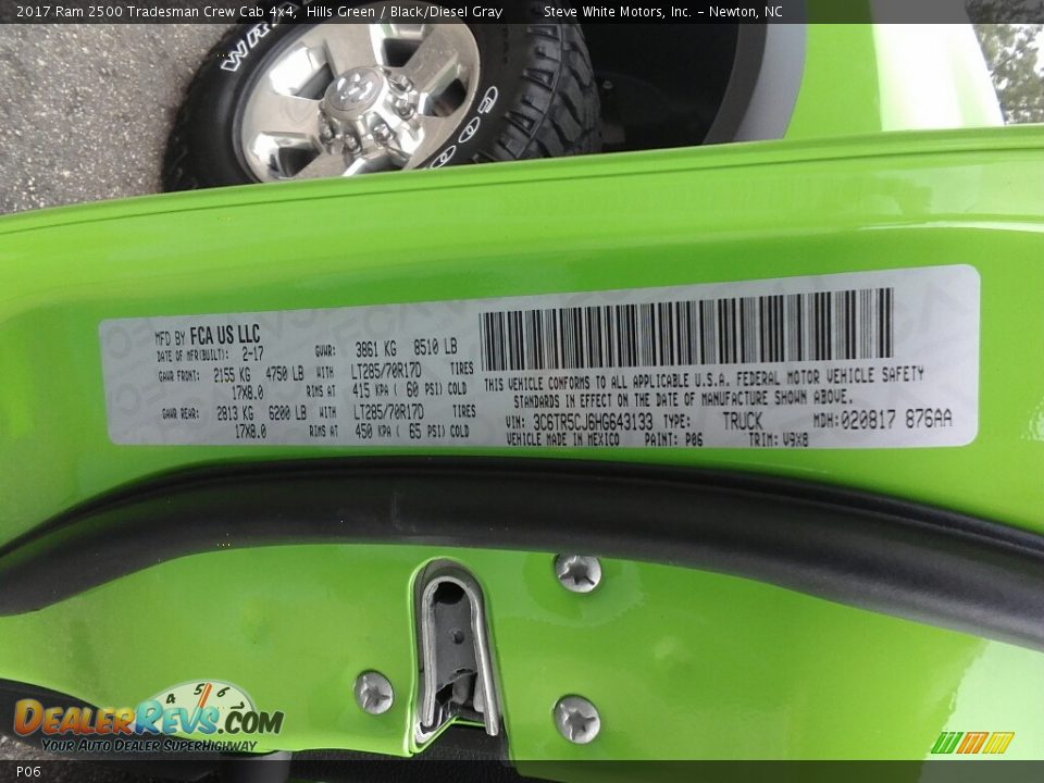 Ram Color Code P06 Hills Green