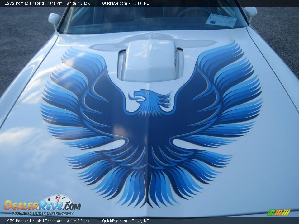 1979 Pontiac Firebird Trans Am Logo Photo #4