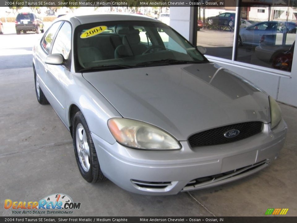 2004 Ford Taurus SE Sedan Silver Frost Metallic / Medium Graphite Photo #1