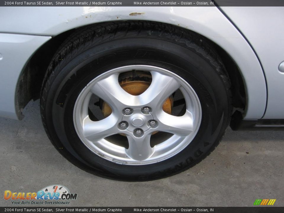 2004 Ford Taurus SE Sedan Silver Frost Metallic / Medium Graphite Photo #16