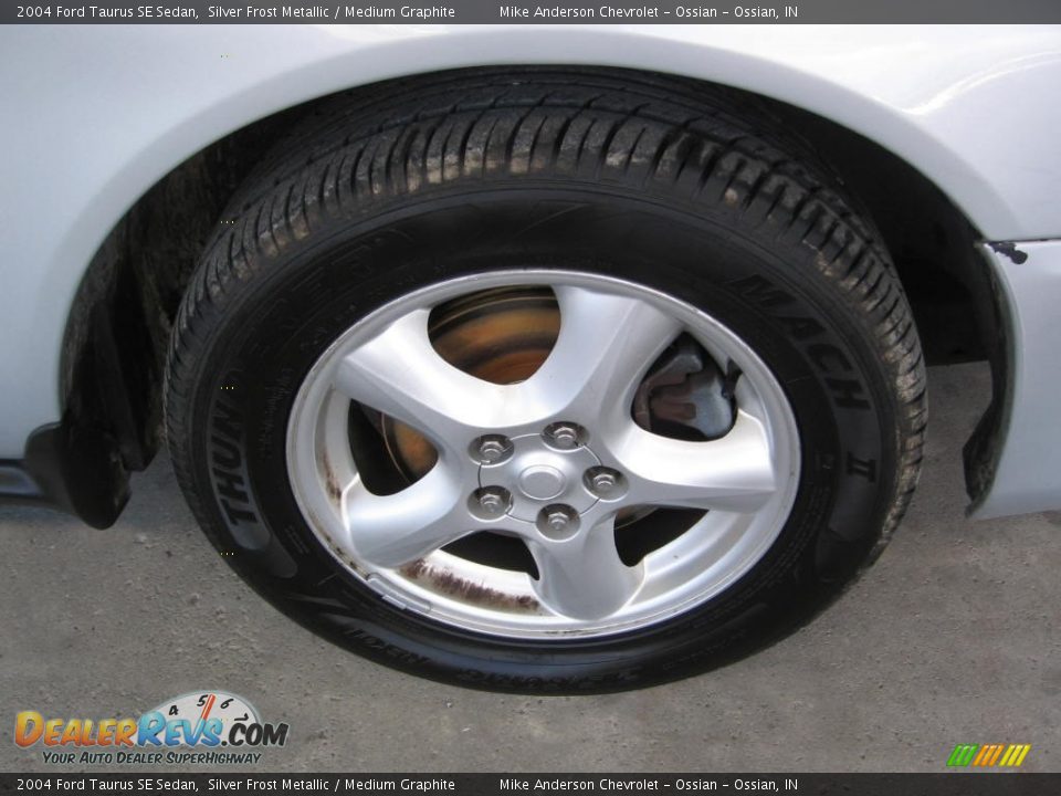 2004 Ford Taurus SE Sedan Silver Frost Metallic / Medium Graphite Photo #17