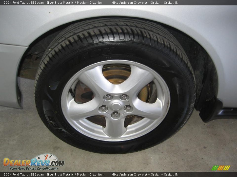 2004 Ford Taurus SE Sedan Silver Frost Metallic / Medium Graphite Photo #18