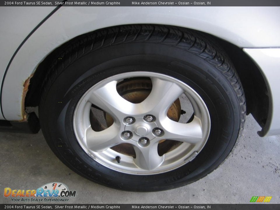 2004 Ford Taurus SE Sedan Silver Frost Metallic / Medium Graphite Photo #19