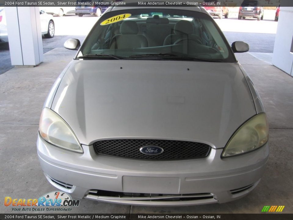 2004 Ford Taurus SE Sedan Silver Frost Metallic / Medium Graphite Photo #20