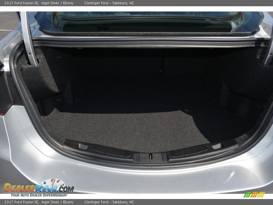2017 Ford Fusion SE Ingot Silver / Ebony Photo #9