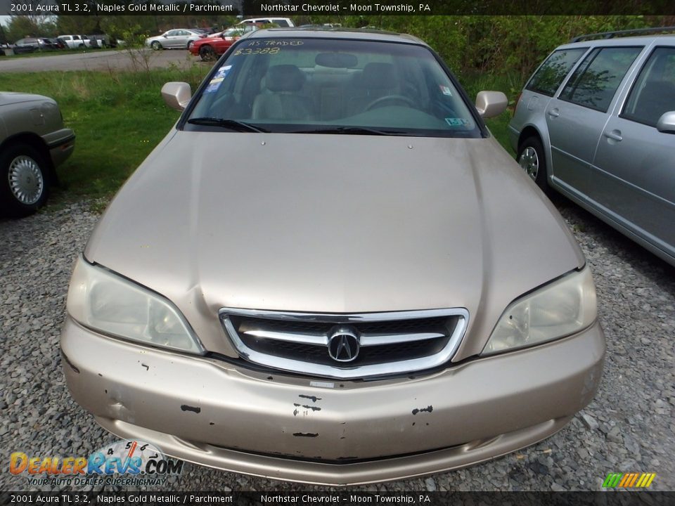 2001 Acura TL 3.2 Naples Gold Metallic / Parchment Photo #6