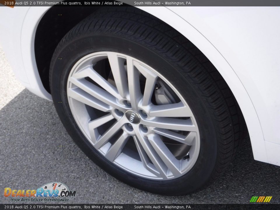 2018 Audi Q5 2.0 TFSI Premium Plus quattro Ibis White / Atlas Beige Photo #4