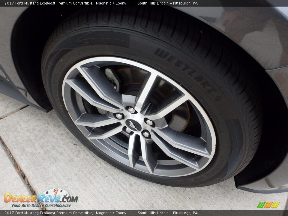 2017 Ford Mustang EcoBoost Premium Convertible Magnetic / Ebony Photo #9